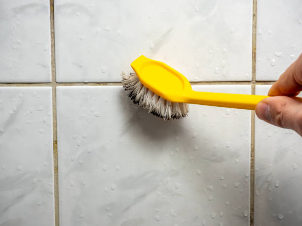 Best Mold Remediation  in Villanova, PA