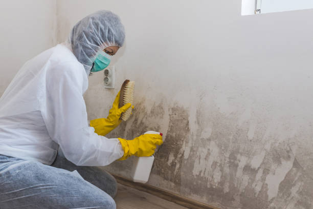 Best Crawl Space Mold Removal  in Villanova, PA