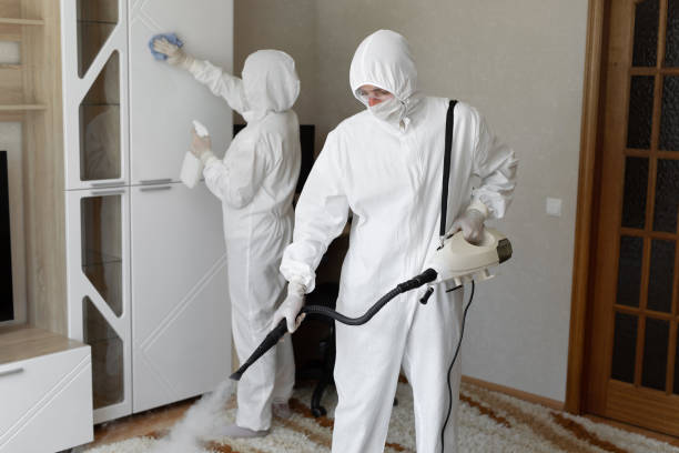 Home Mold Removal in Villanova, PA