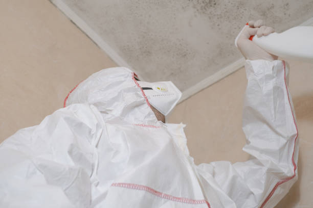 Best Mold Inspection  in Villanova, PA